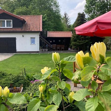 Magnolia Daire Kruklanki Dış mekan fotoğraf
